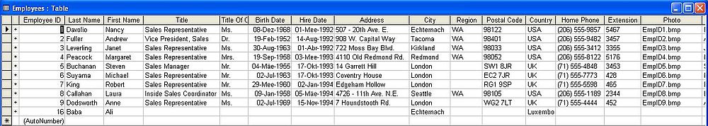 Lazarus/Free Pascal and Microsoft Access: 'Employees' table (with new record) opened in Access