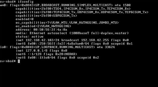 Changing the IP address on NetBSD: Running the 'ifconfig' command