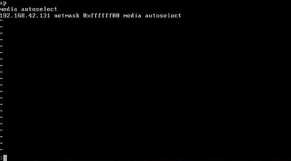 Changing the IP address on NetBSD: Editing the file '/etc/ifconfig.wm0' (new settings)