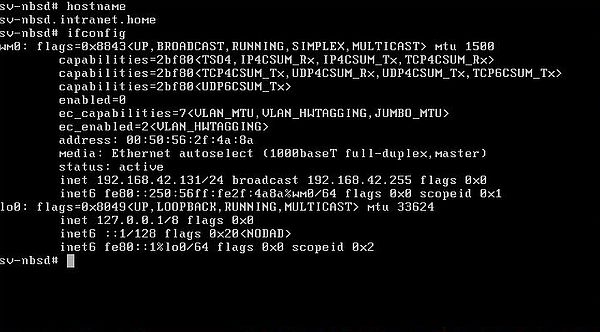 Changing the IP address on NetBSD: Display of the new network settings