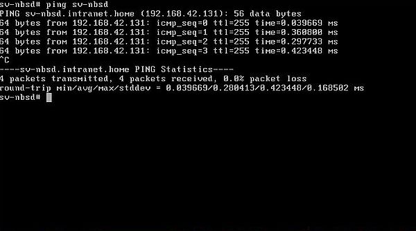 Changing the IP address on NetBSD: Successful ping of the host