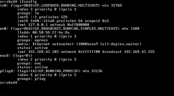Changing the IP address on OpenBSD: Running the 'ifconfig' command