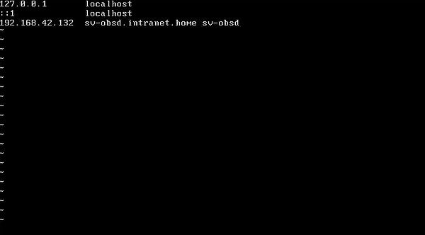 Changing the IP address on OpenBSD: Editing the file '/etc/hosts'