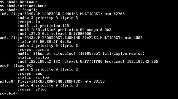 Changing the IP address on OpenBSD: Display of the new network settings