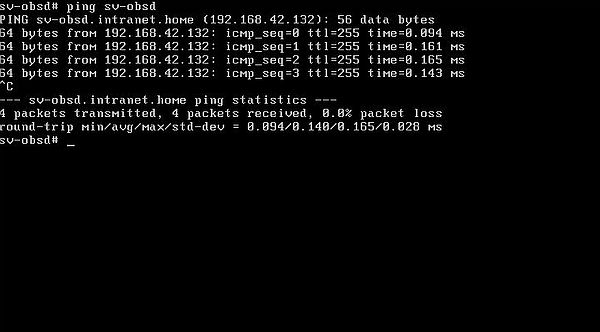 Changing the IP address on OpenBSD: Successful ping of the host