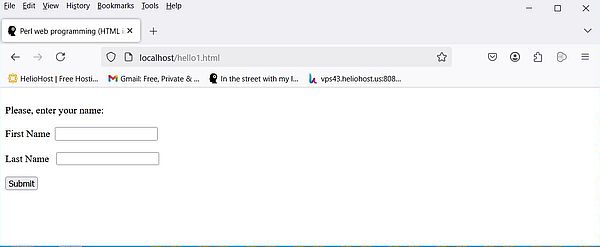 Parsing HTTP requests with Perl - HTML input form