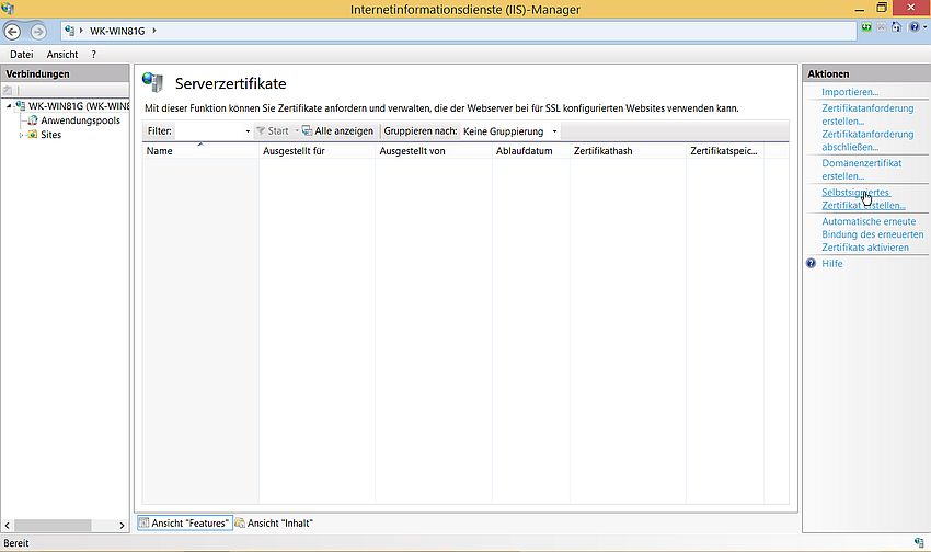 IIS on Windows 8.1: Create self-signed server certificate