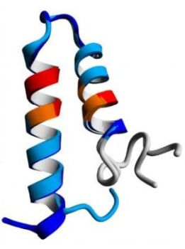 Supersecondary protein structure: helix-turn-helix structure