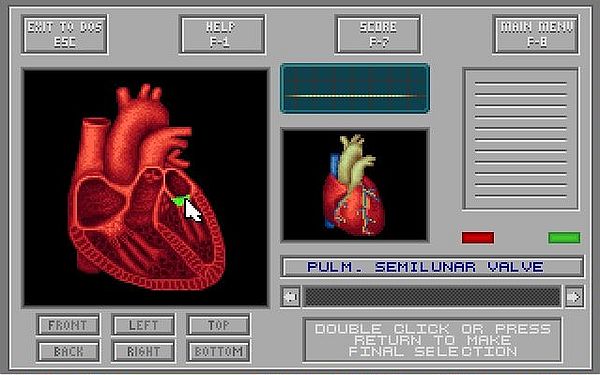 Body Illustrated 1992 on MS-DOS 7.10: Game - An anatomy quiz for 1 or 2 players