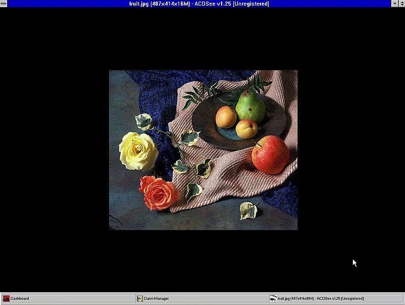 ACDSee on Windows 3.1: ACDSee Image Viewer