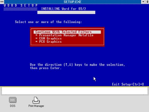 Microsoft Word on OS/2 1.3 - Installation: Graphics filters selection