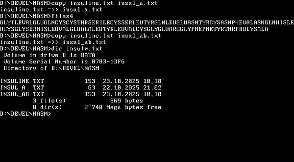 NASM on FreeDOS: Assembly program example - Appending to a file NASM on FreeDOS: Assembly program example - Appending to a file