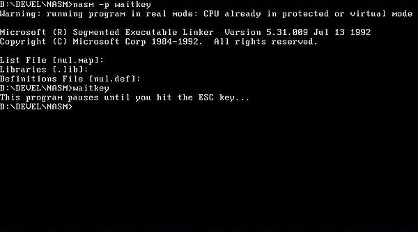 NASM on FreeDOS: Assembly program example - Terminating a program with the ESC key