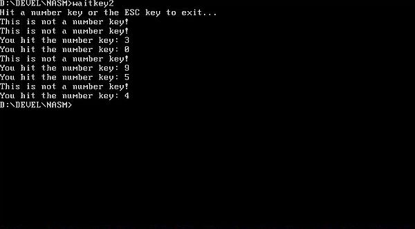 NASM on FreeDOS: Assembly program example - Waiting for a number key