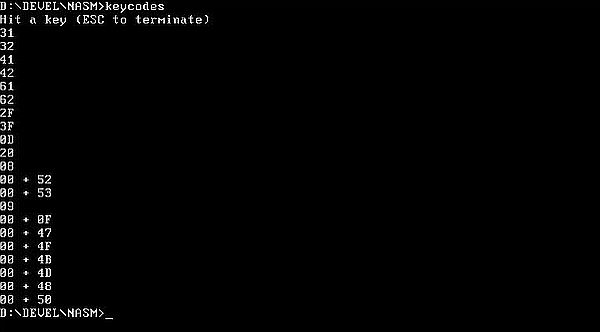 NASM on FreeDOS: Assembly program example - Keystroke codes [1]