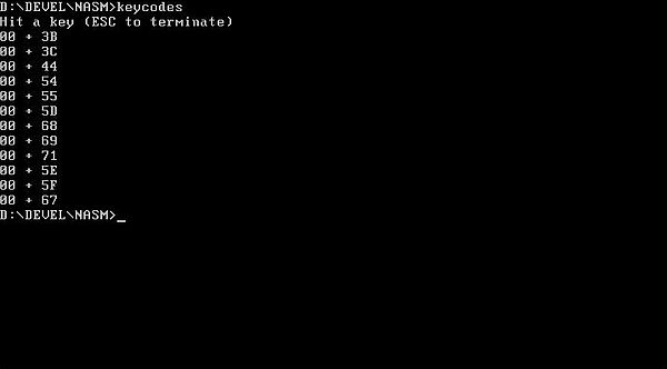NASM on FreeDOS: Assembly program example - Keystroke codes [3]