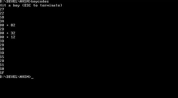 NASM on FreeDOS: Assembly program example - Keystroke codes [4]
