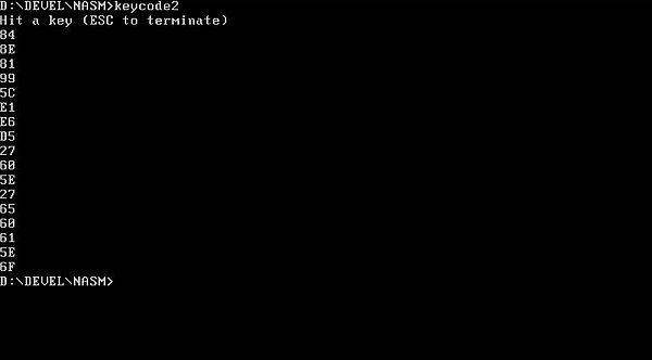 NASM on FreeDOS: Assembly program example - Keystroke codes [5]