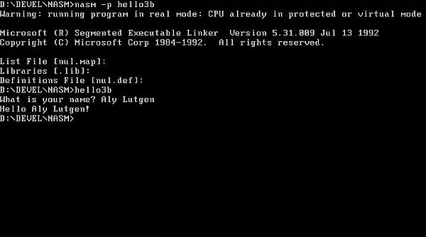 NASM on FreeDOS: Assembly program example - Simulating keyboard input