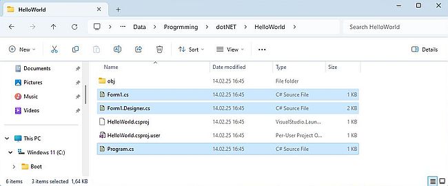 .NET development on Windows 11: .NET SDK CLI - Project directory of a C# WinForms application