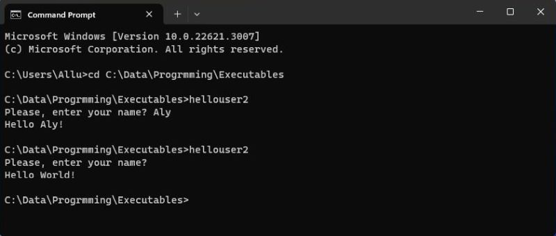 Micro Focus Visual Cobol Windows 11 - Running a .NET COBOL Console Application in Command Prompt