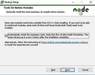 Node.js on Windows 10: Setup - Selecting to install the tools for native modules