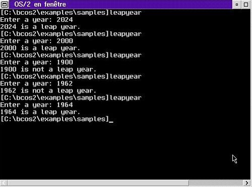 Borland C++ on OS/2 2.11: Running a program in an OS/2 command line window