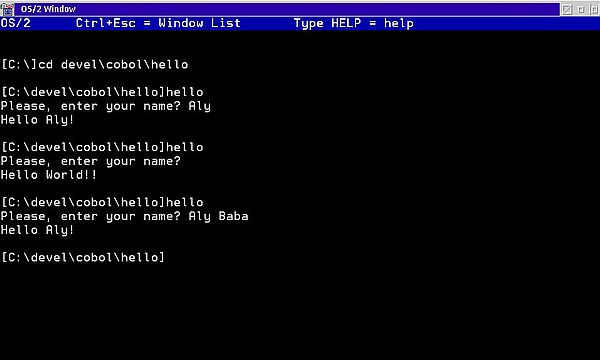 VisualAge for COBOL on OS/2: Building command line programs - Running the executable
