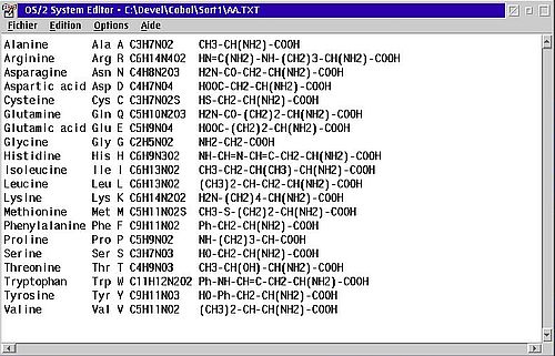 VisualAge for COBOL on OS/2: Building command line programs - Sort input file, opened in OS/2 System Editor