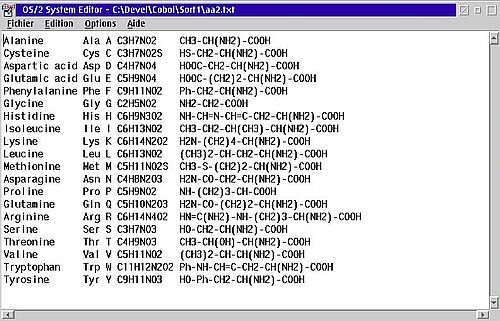 VisualAge for COBOL on OS/2: Building command line programs - Sort output file, opened in OS/2 System Editor