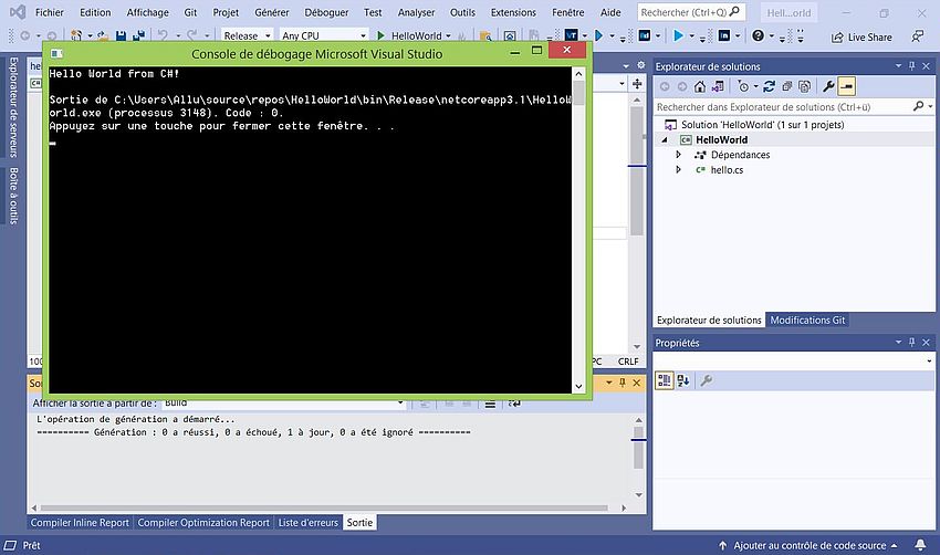 Visual Studio 2019 on Windows 8.1 - Simple C# project: Successful execution in Visual Studio Debugging Console