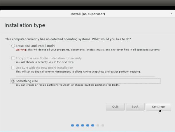 Linux triple boot: Bodhi Linux installation - Choosing to perform a custom partitioning