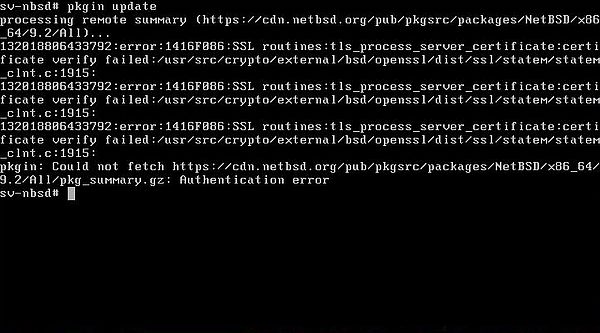 Updating NetBSD: Authentication error when trying to run 'pkgin' using HTTPS