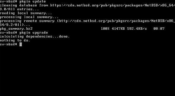 Updating NetBSD: Package update using 'pkgin'