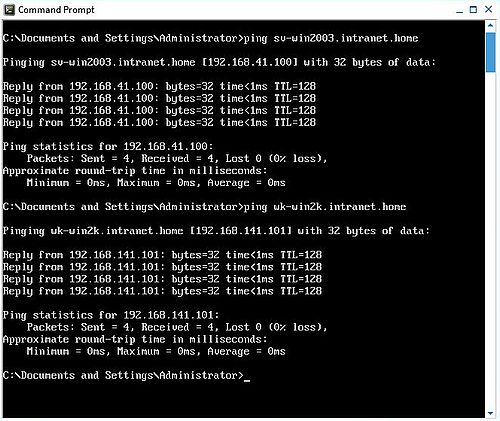 ReactOS: Testing connection to the local network using 'ping'