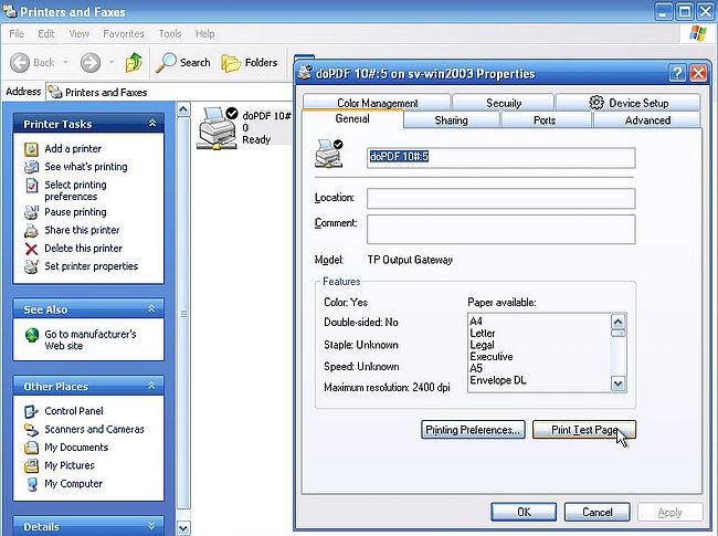 Windows Server 2003: Printer sharing - Test printing from a Windows XP client [1]