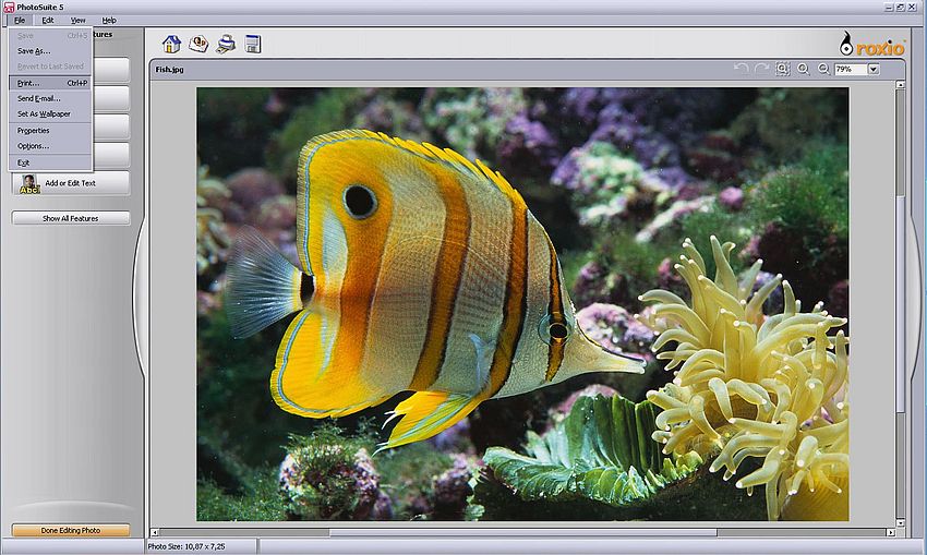 Windows Server 2003: Printer sharing - Printing from Roxio PhotoSuite on Windows XP [1]