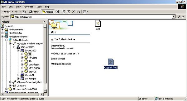 Windows Server 2003: Accessing the shares from Windows 2000 - Duplicating a remote file in a read-write shared folder