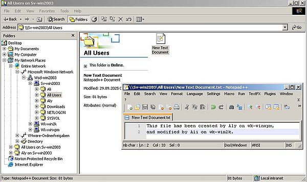 Windows Server 2003: Accessing the shares from Windows 2000 - Modifying a commonly shared document