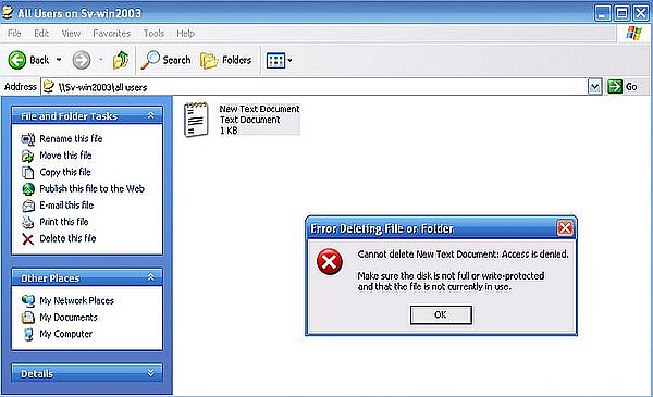 Windows Server 2003: Delete and rename denial for standard users