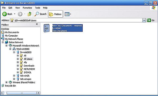 Windows Server 2003: Delete and rename allowance for administrator