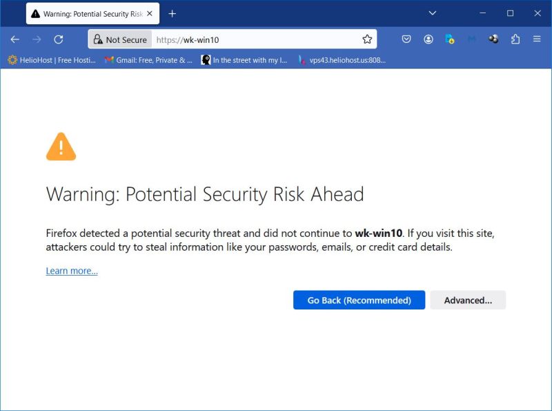 Firefox security risk warning when trying to access a site with a self-signed certificate [1]