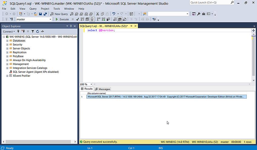 SQL Server Management Studio: Running a simple query